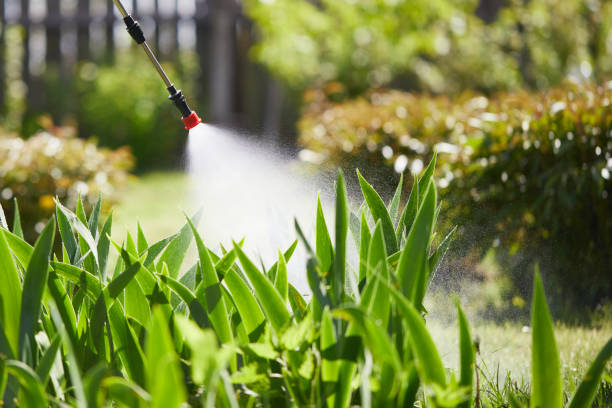 24/7 Emergency Wasp Removal experts in Olivet, MI
