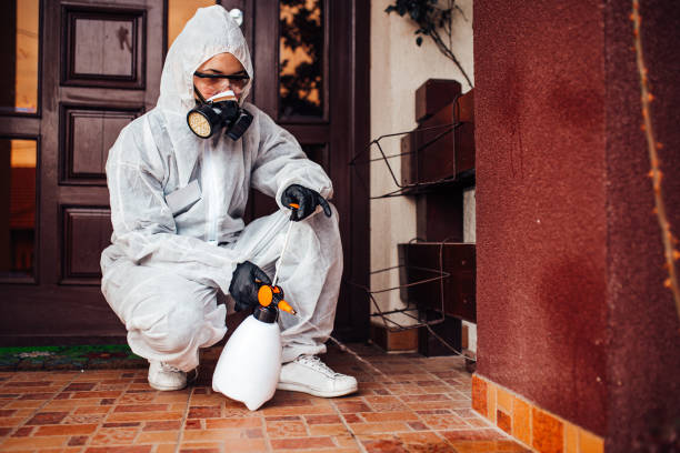 Reliable Wasp Removal contractor in Olivet, MI by Show Me Pest Control